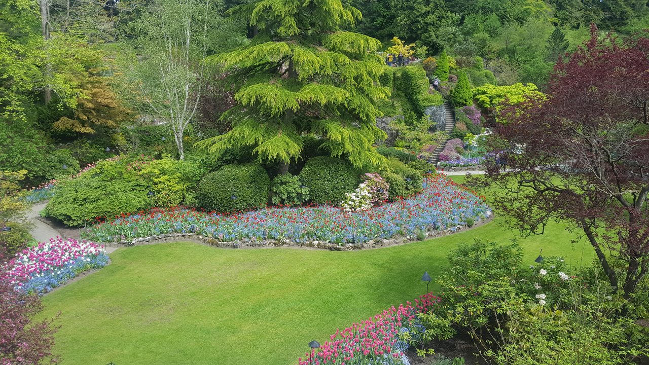 Colorful flower beds and the Sunken Garden at The Butchart Gardens near Victoria BC