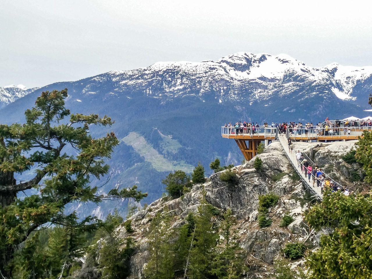 Looking over Howe Sound from the Sea to Sky Gondola near Squamish